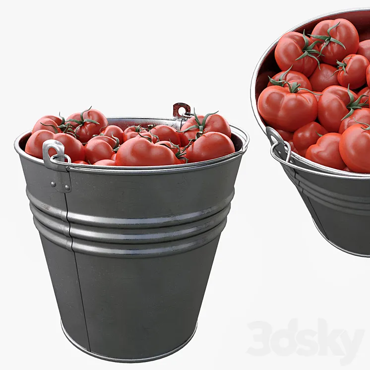 Bucket with tomatoes 3DS Max