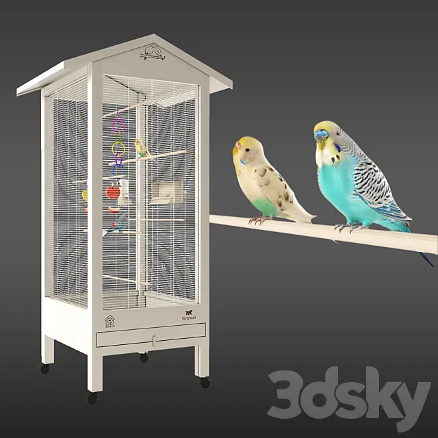 Budgies 3DS Max Model