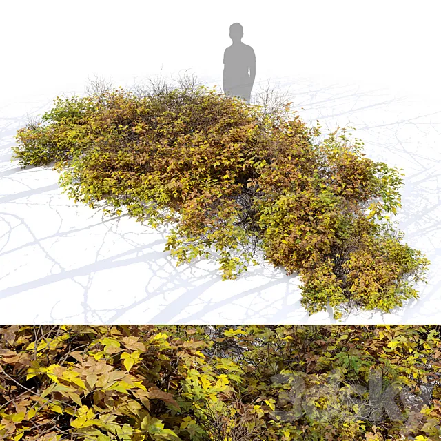 Bush 024 3ds Max