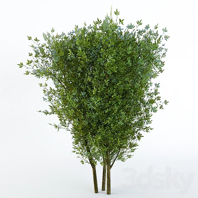 Bush 3ds Max