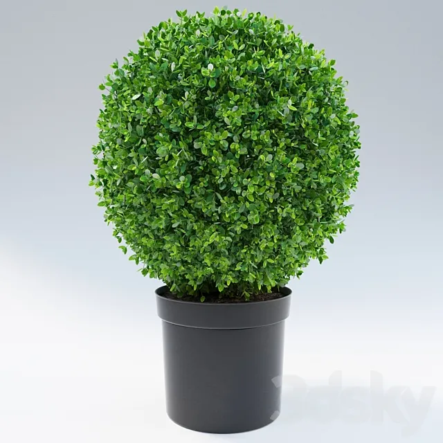 bush 3ds Max