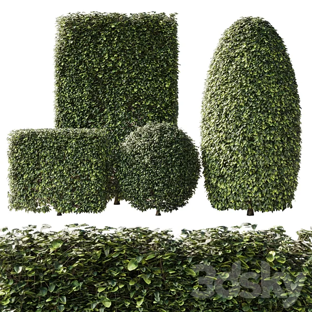 Bush Collection Shrubs cube-oval-circle and rectangle 02 3ds Max