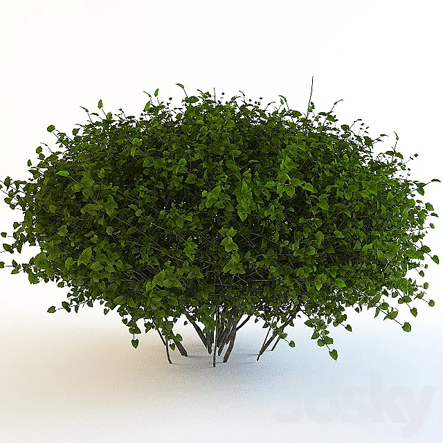 Bush continuation 3ds Max