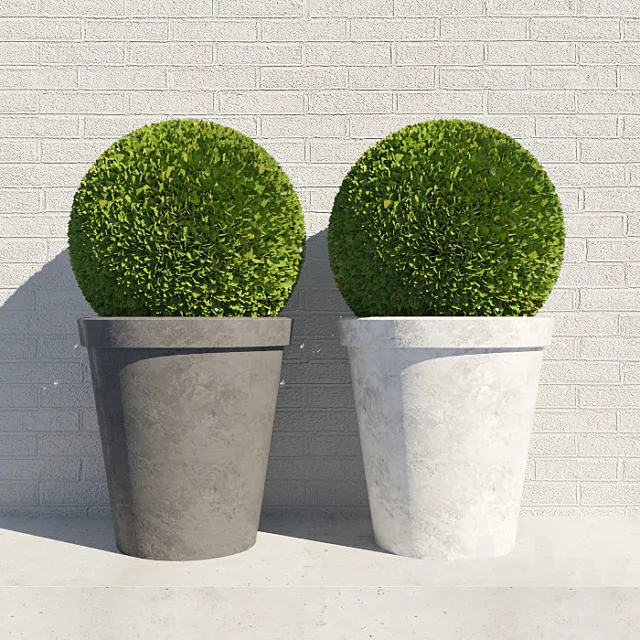 bush in a pot 3DS Max Model