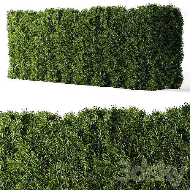 Bush needle wall 3DS Max Model