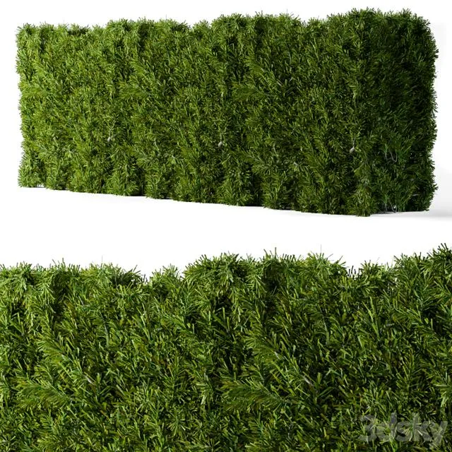 Bush needle wall 3dsMax Model