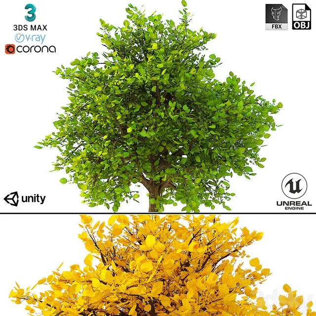 Bush No. 2 3dsMax Model
