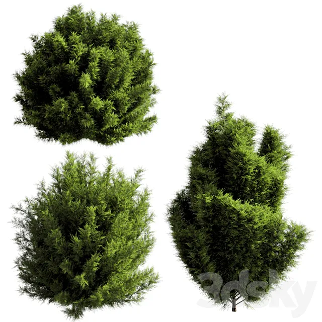 bush outdoor grass 053 3ds Max