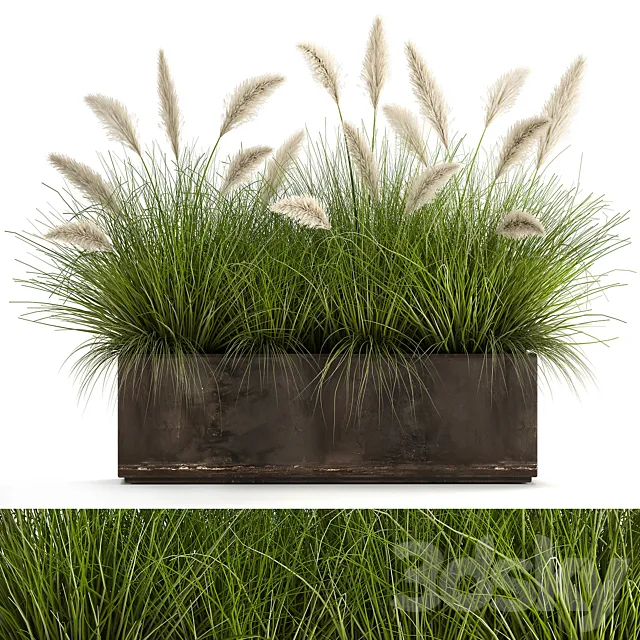 Bush plants in a metal outdoor pot with white Pampas grass veynik reed. 902. 3DS Max Model