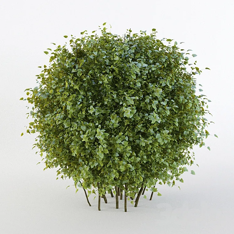Bush short-haired in the form of a sphere (Pere fill) 3DS Max