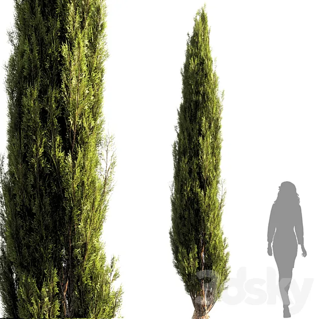 bush tree 010 3ds Max