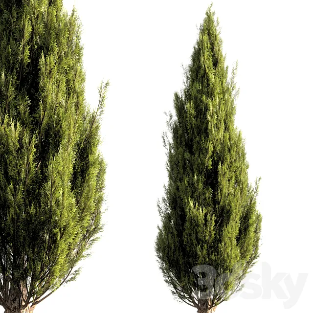 bush tree 016 3ds Max