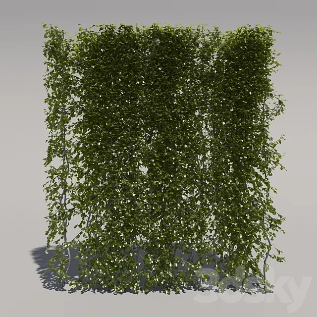 Bush trimmed high 3DS Max Model