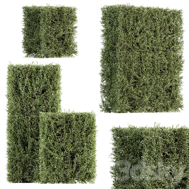 Bush wall Needle – Bush Set 19 3ds Max