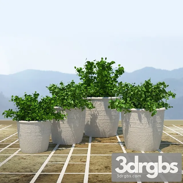 Bushes 2 3dsmax Download