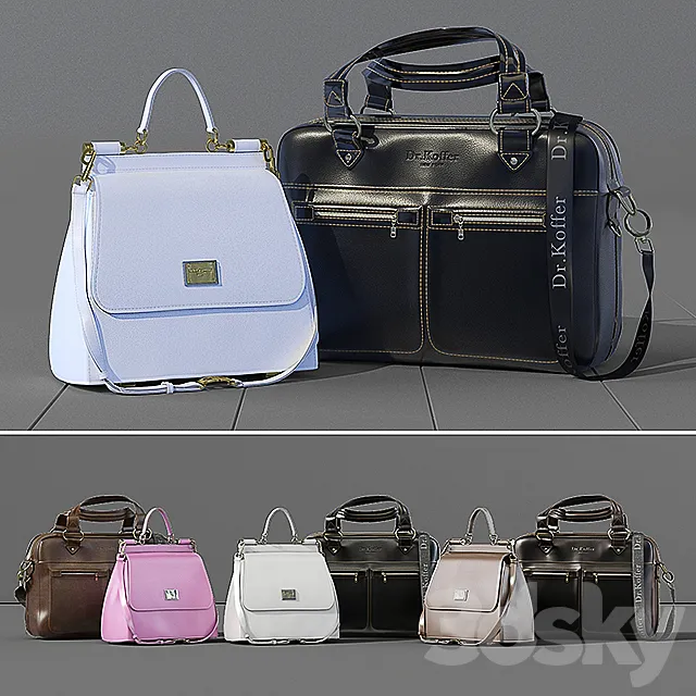 Business leather bag Dr.Koffer + women’s bag Dolce Gabbana 3DSMax File