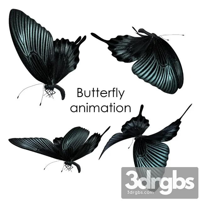 Butterfly Animation 3dsmax Download