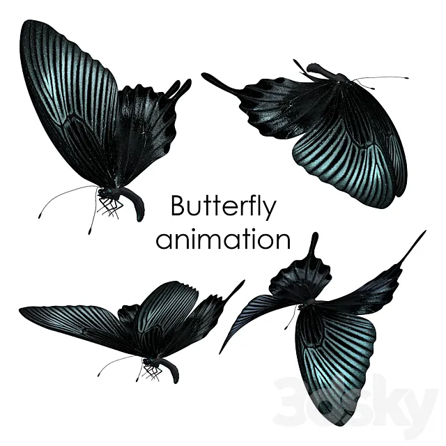 Butterfly animation 3DSMax File