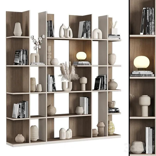 Cabinet with shelves_032 3dsMax Model