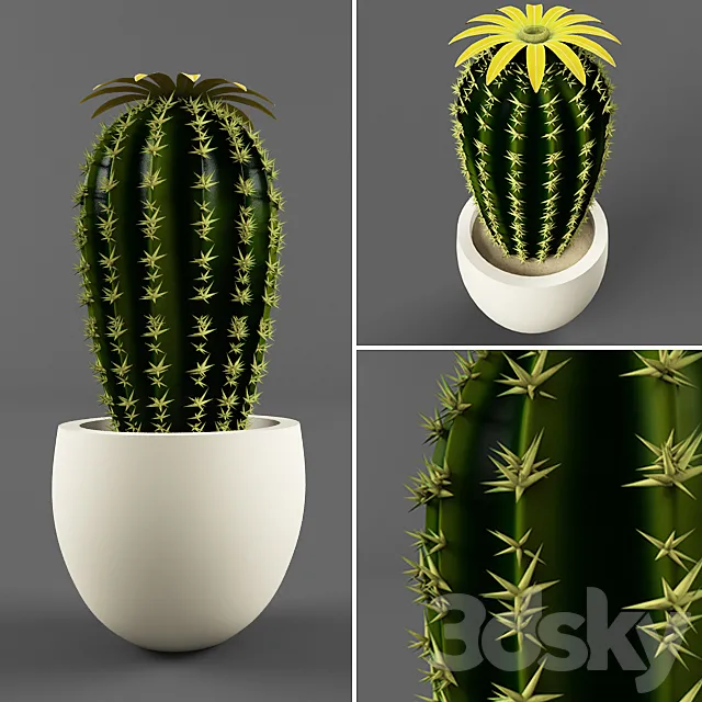 Cactus 3DSMax File