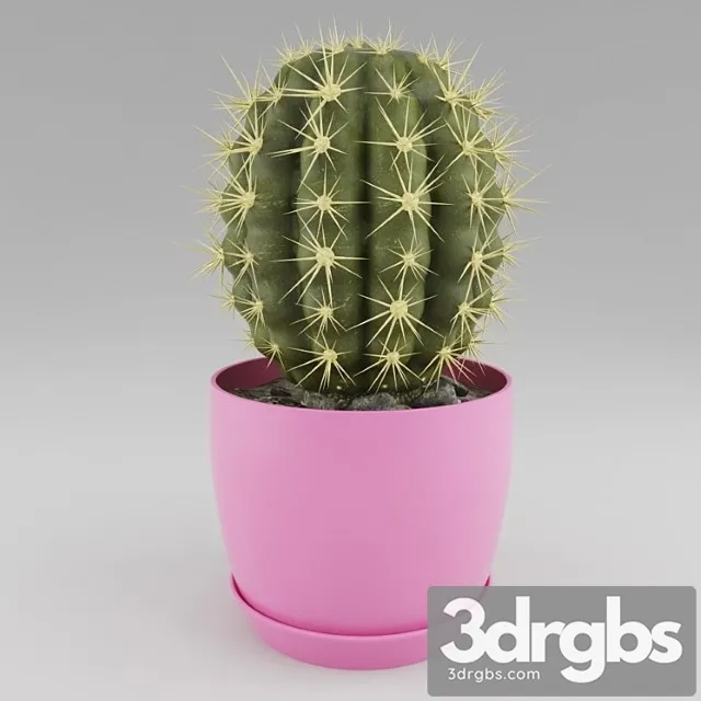 Cactus 9 3dsmax Download