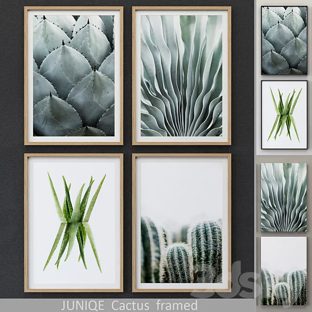 Cactus framed 3ds Max