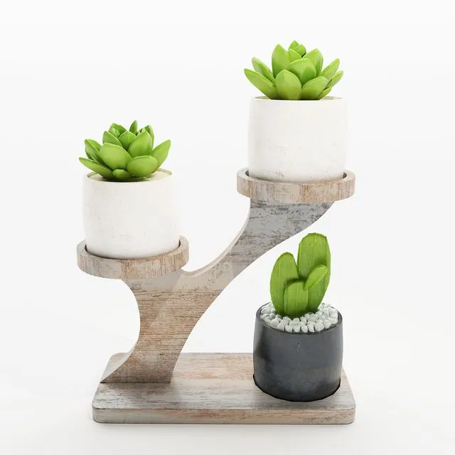 Cactus on the stand 3dsMax Model