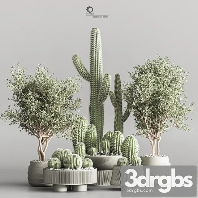 Cactus & plant vol 01