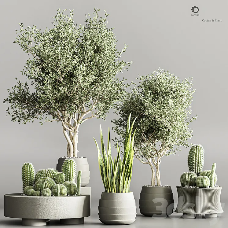 Cactus & plant vol 02 3DS Max Model