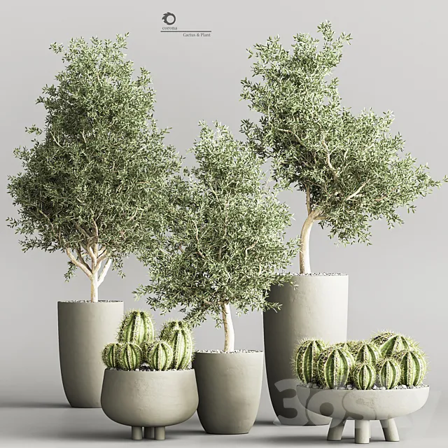 cactus & plant vol 03 3ds Max