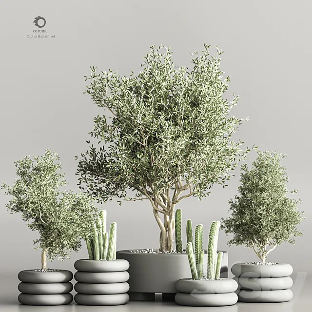 cactus & plant vol 06 3DS Max Model