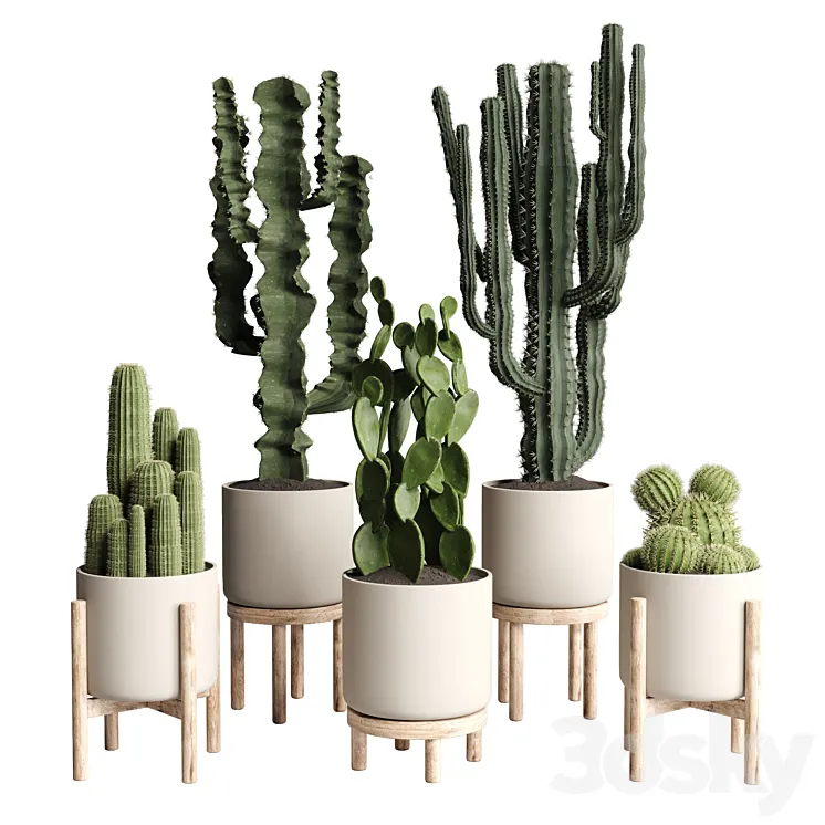 cactus pot collection indoor plant 186 wood vase 3DS Max Model