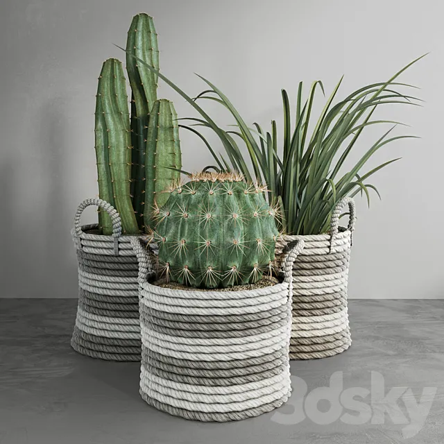 Cactus set 3DS Max Model