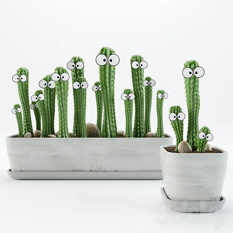 Cactus with eyes 3DS Max