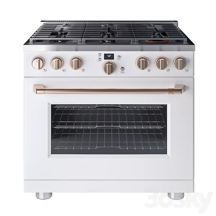 Cafe 36 Smart All-Gas Commercial-Style Range with 6 Burners 3DS Max Model