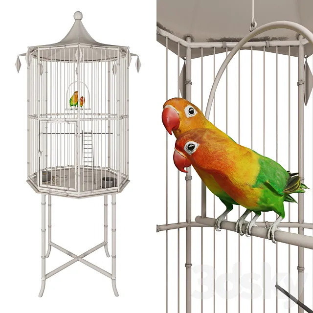 Cage with lovebirds 3ds Max