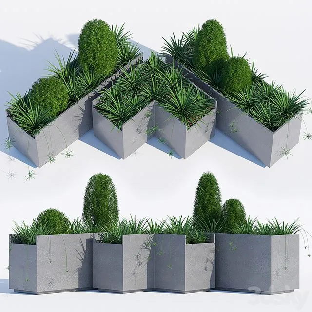 California plant outdoor 3dsMax Model