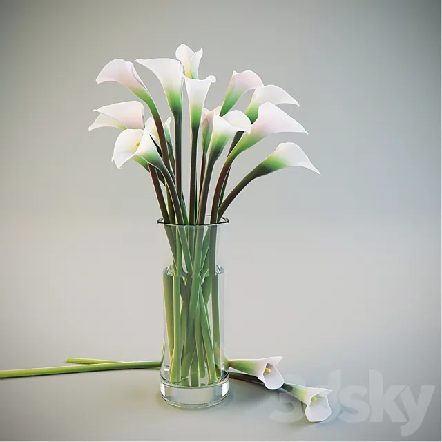 Calla Lilies in a vase 3ds Max