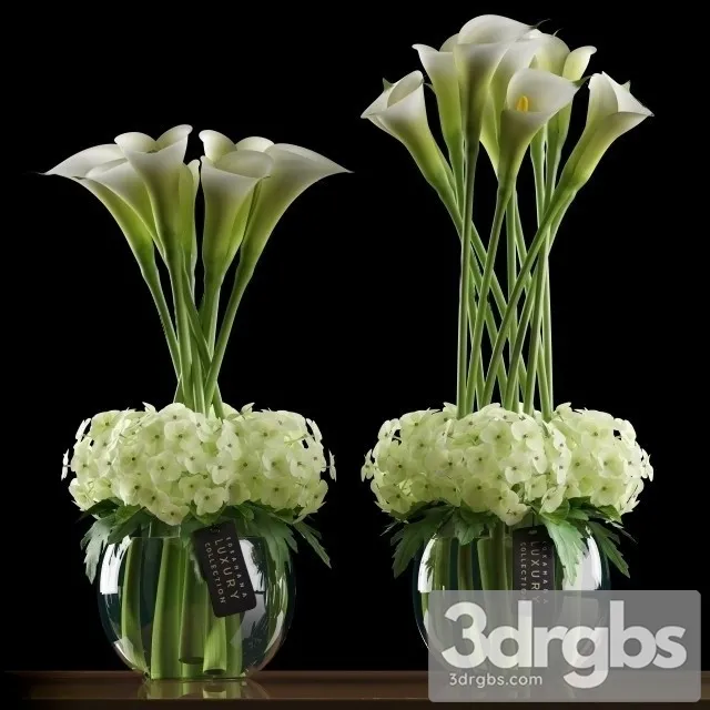 Calla Lilly 4 3dsmax Download