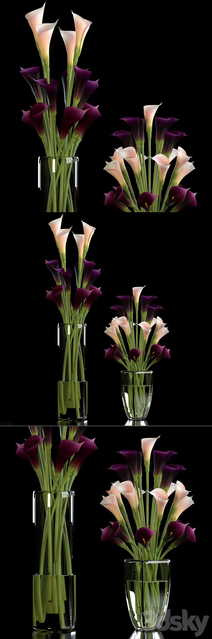 CALLA LILLY PURPLE 3DS Max