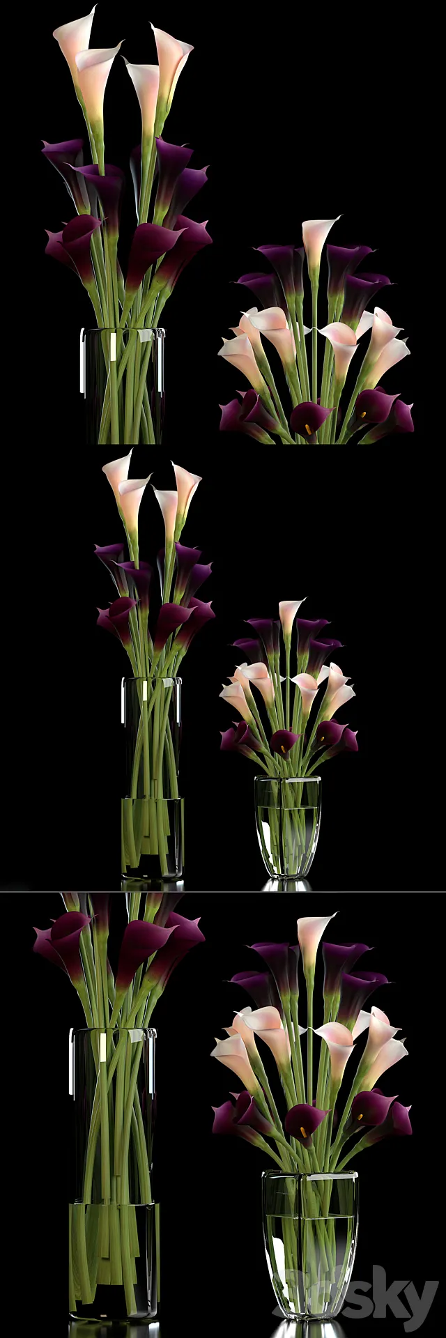 CALLA LILLY PURPLE 3dsMax Model