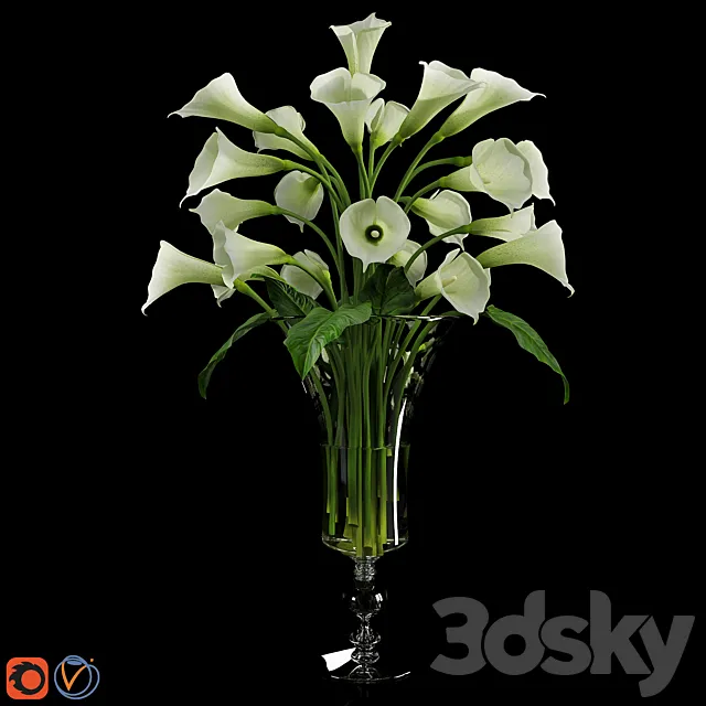 Calla Lily 3 3ds Max