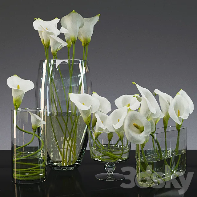 Calla lily 3ds Max