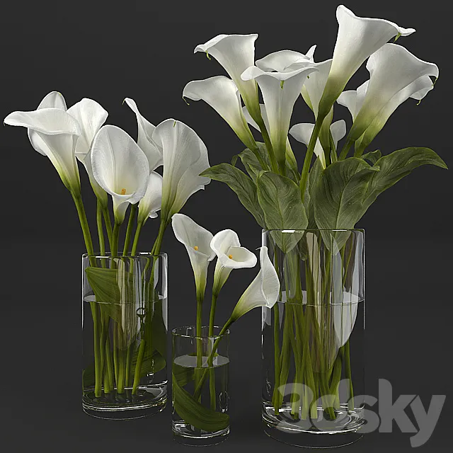 Calla lily 3DS Max Model