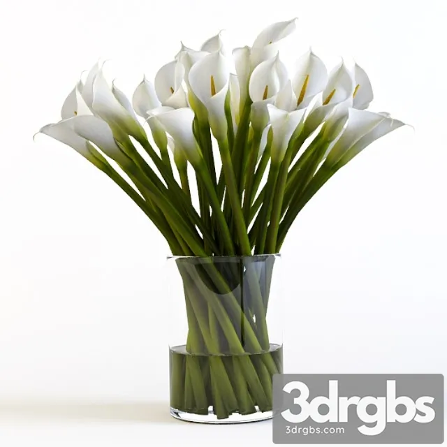 Callas 3dsmax Download