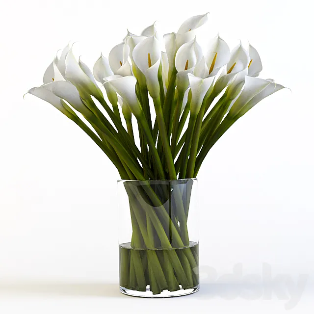 Callas 3DS Max Model