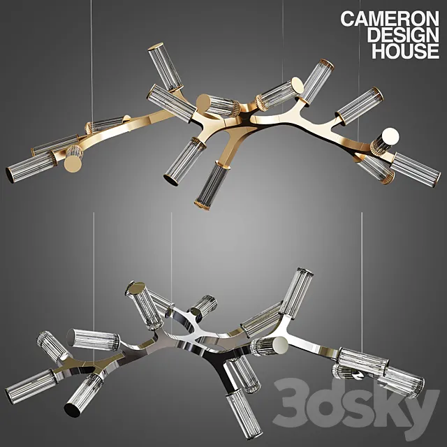 Cameron Design House HAARA 3ds Max