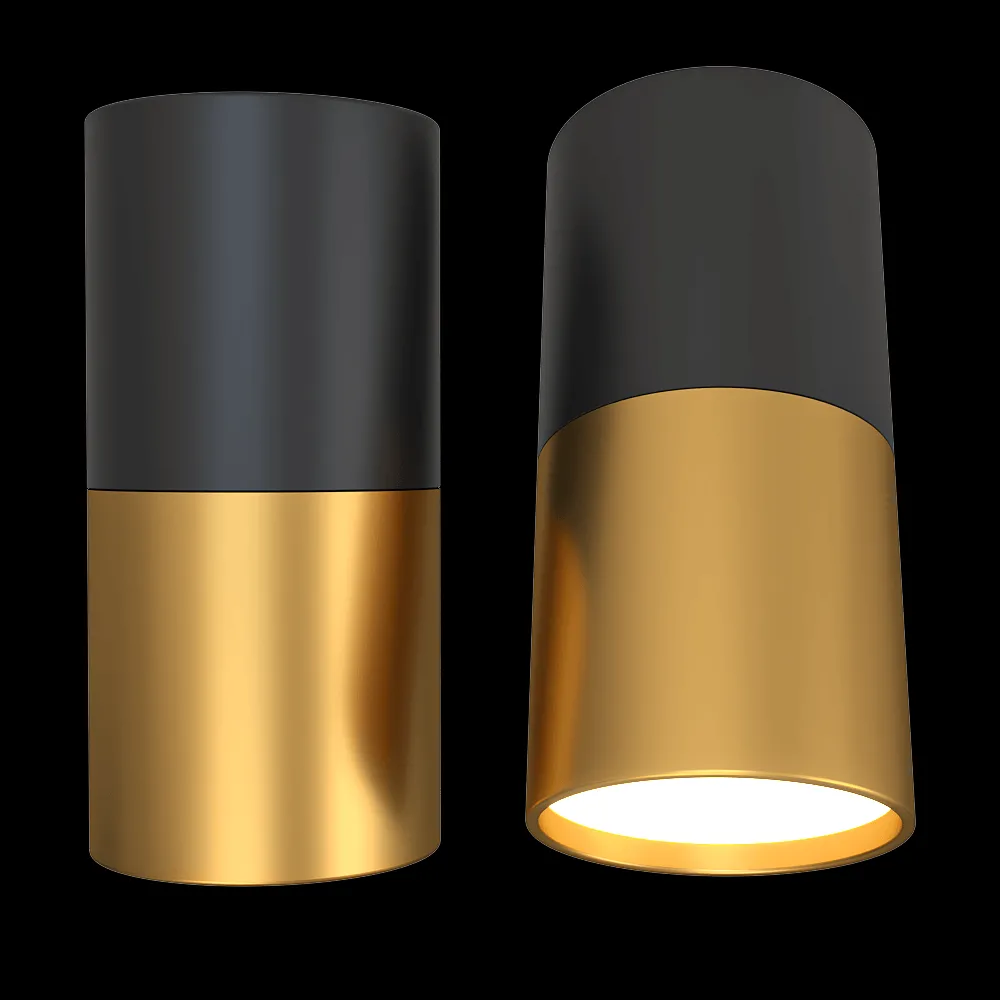 Candellux Lighting – Ceiling fixture Black and gold GU10 Tube 3ds Max