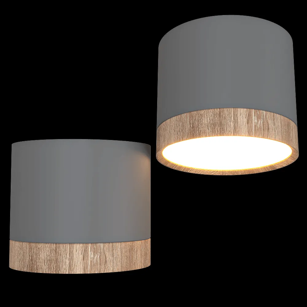 Candellux Lighting – Ceiling lamp Тube gray 3ds Max