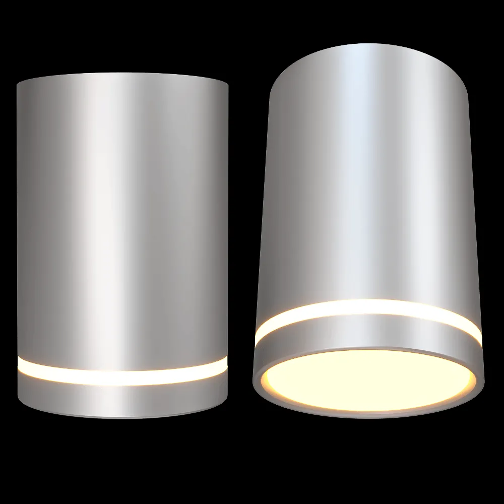 Candellux Lighting – Ceiling lamp Silver Tube 3ds Max